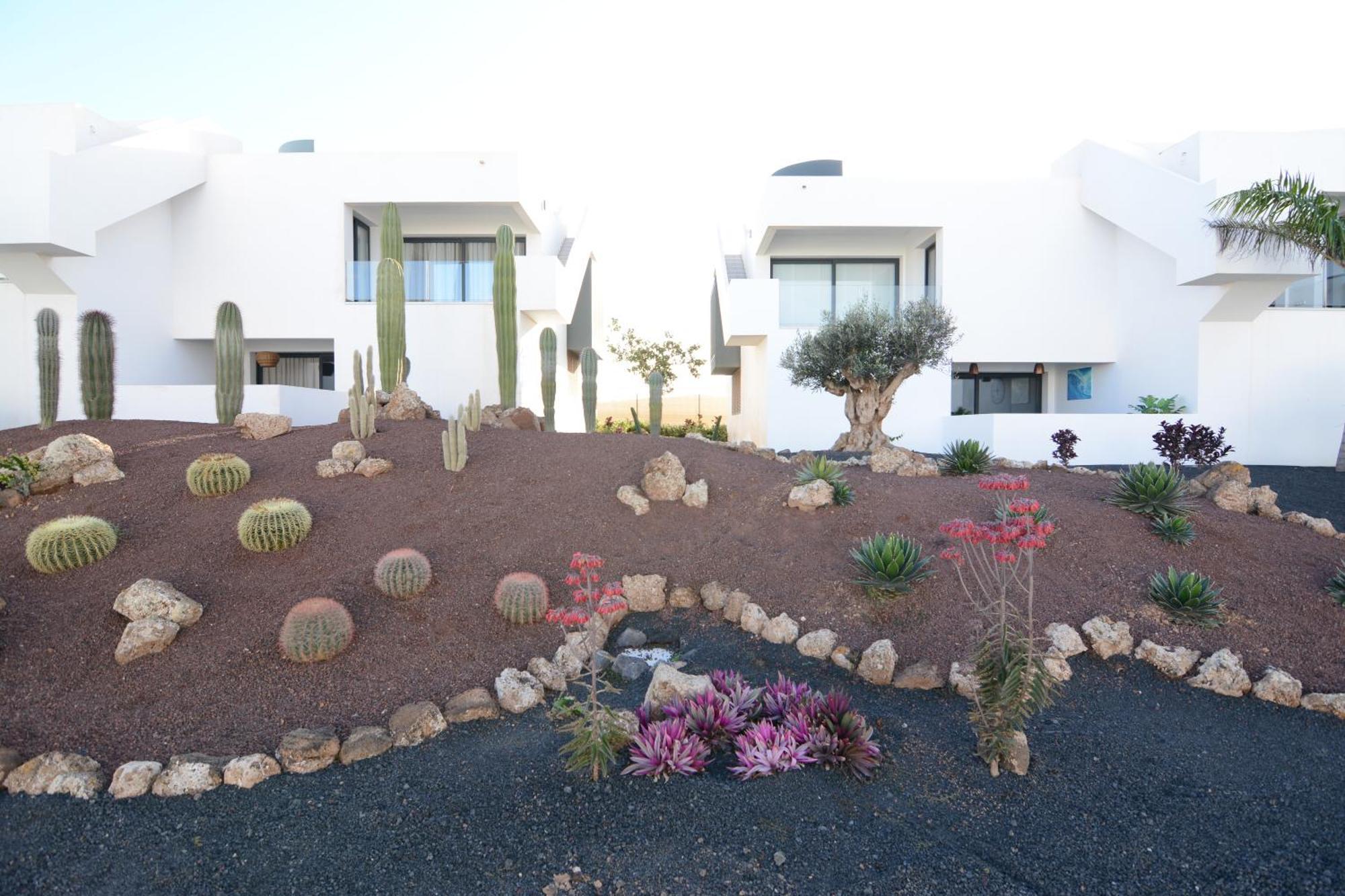 Casa vacanze Luxury In Casilla De Costa - Casa Meva Lajares